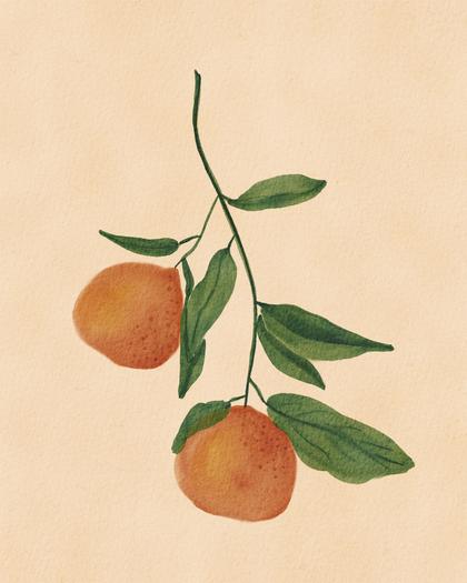 هدوء نباتي: غصن حمضيات مرسوم بالألوان المائية - لوحة جدارية عصرية بدون إطار