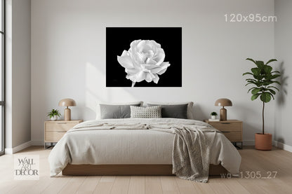 زهرة أحادية اللون: وردة بيضاء على حجر السج - لوحة جدارية عصرية بدون إطار