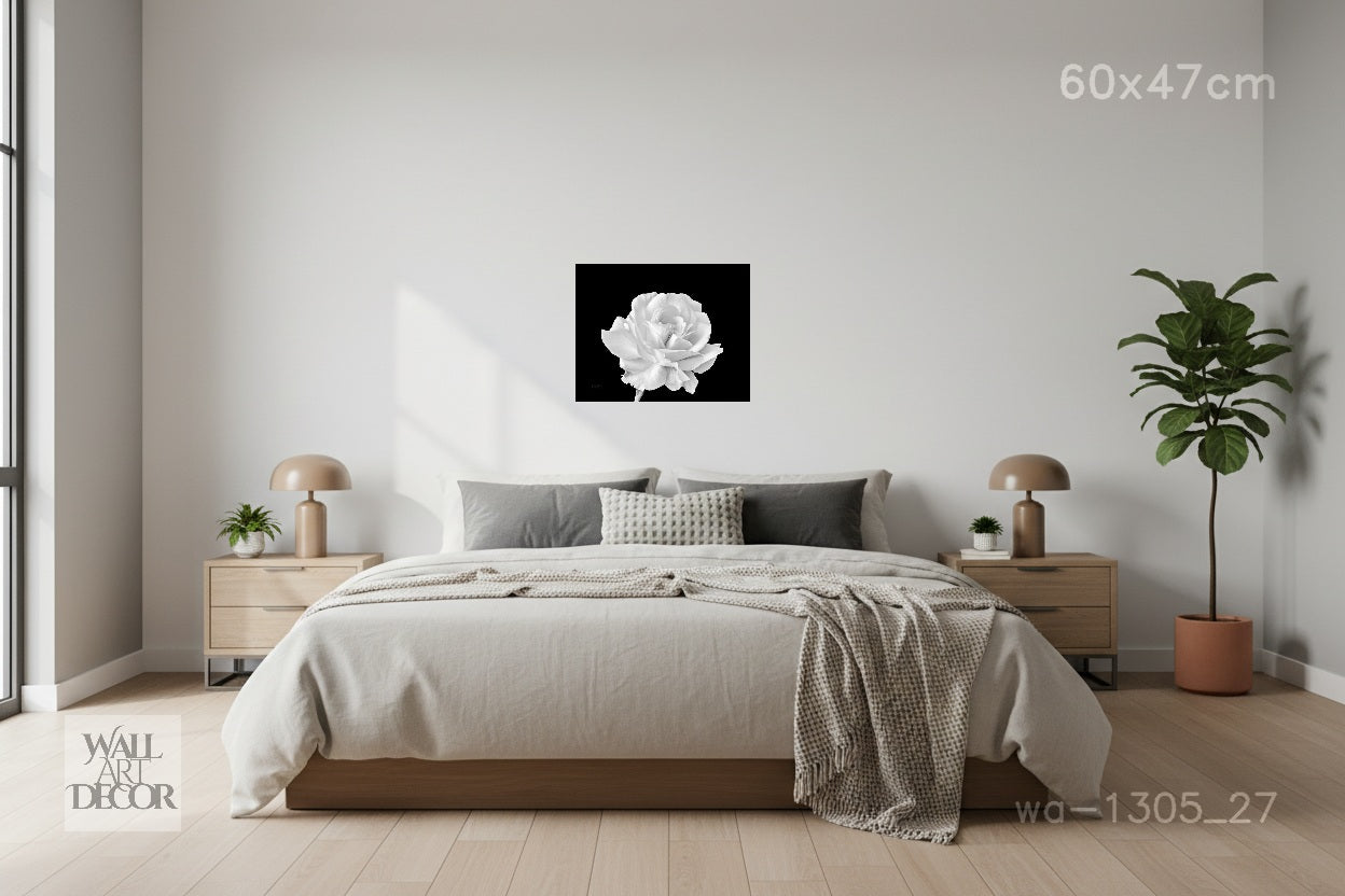 زهرة أحادية اللون: وردة بيضاء على حجر السج - لوحة جدارية عصرية بدون إطار