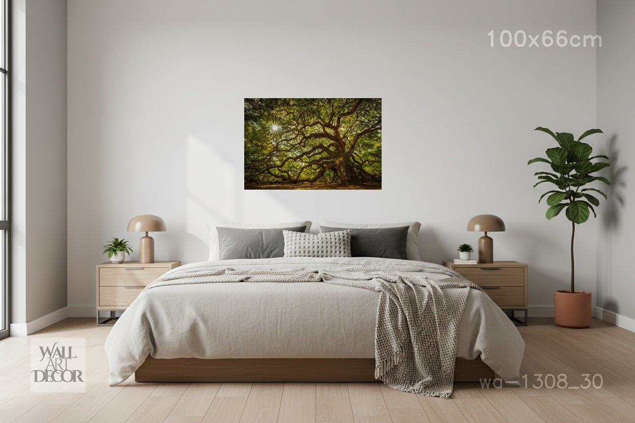 شجرة البلوط العتيقة للحياة: مظلة غارقة بأشعة الشمس – لوحة جدارية عصرية بدون إطار
