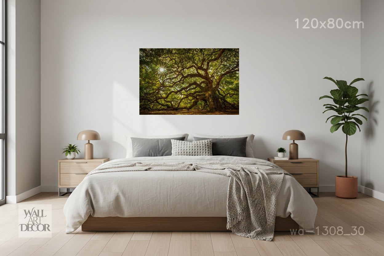 شجرة البلوط العتيقة للحياة: مظلة غارقة بأشعة الشمس – لوحة جدارية عصرية بدون إطار